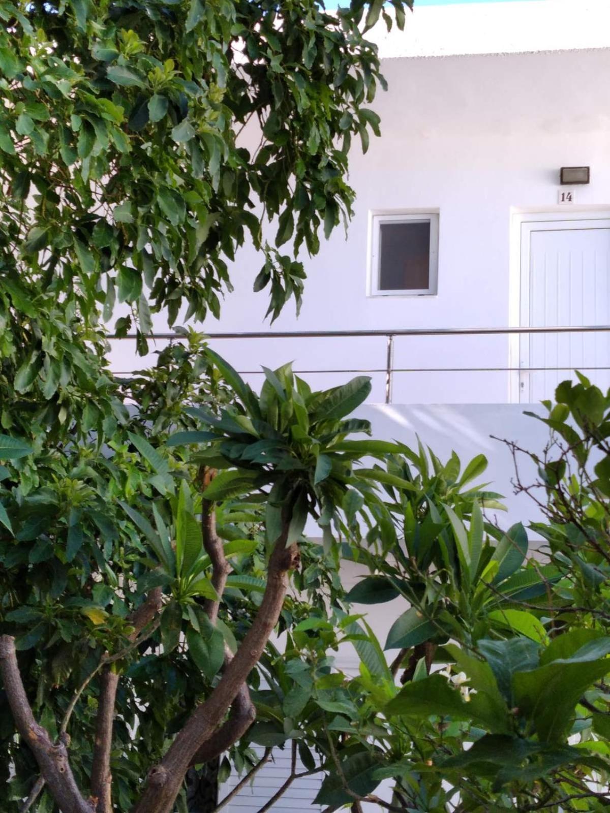 Maria Studios And Apartments CCharaki Buitenkant foto
