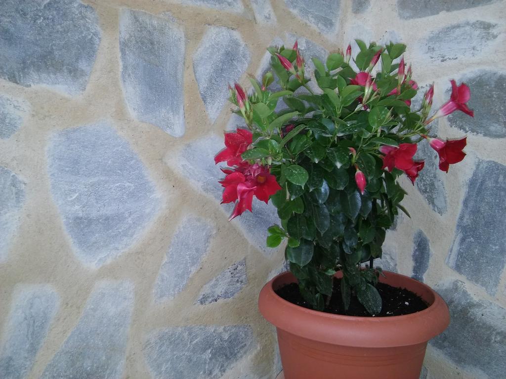 Maria Studios And Apartments CCharaki Buitenkant foto